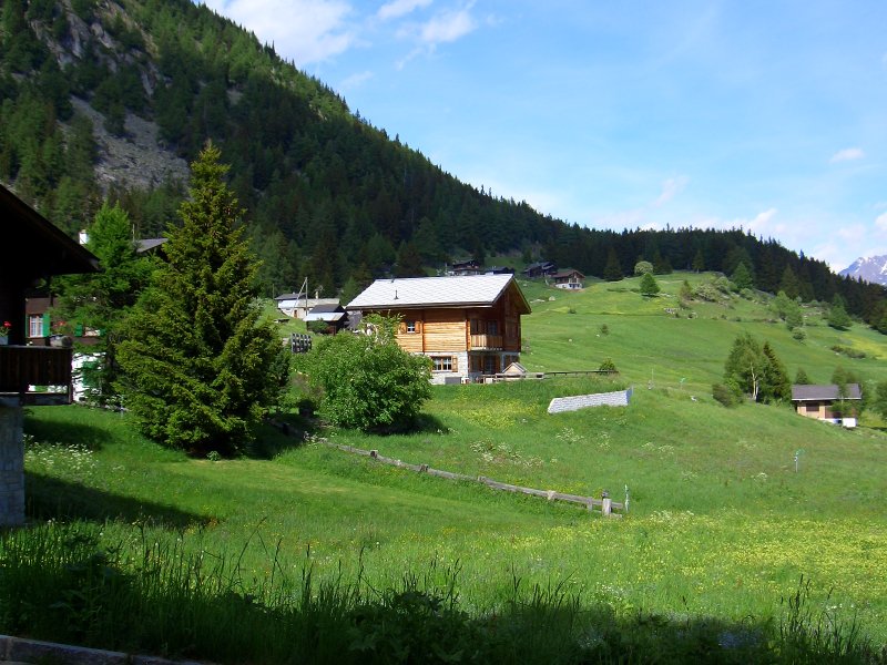 Alpe Salwald